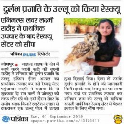 Patrika newspaper cutting 3