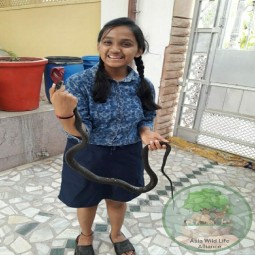 Laxmi with snake