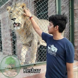 Keshav with lion