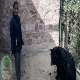 Laxmi with bear