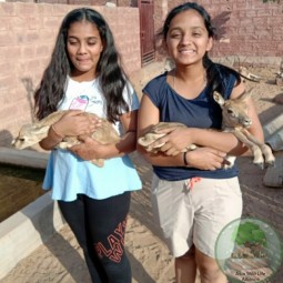 Laxmi and yogita